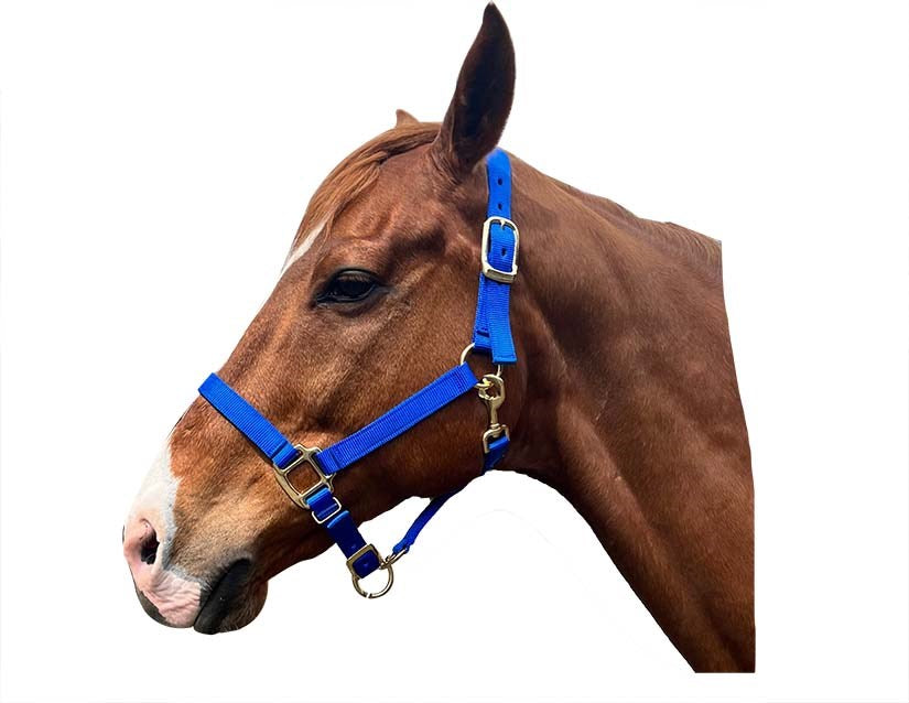 1" Nylon Adjustable Horse Halter