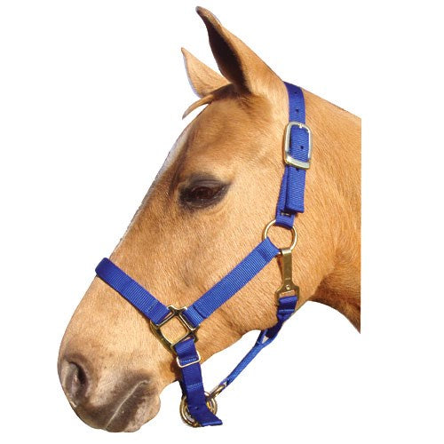 1" Nylon Adjustable Horse Halter