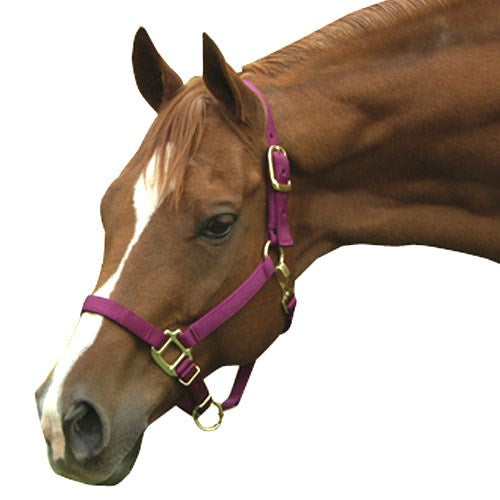 1" Nylon Adjustable Horse Halter