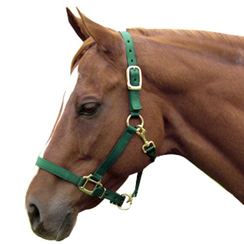 1" Nylon Adjustable Horse Halter
