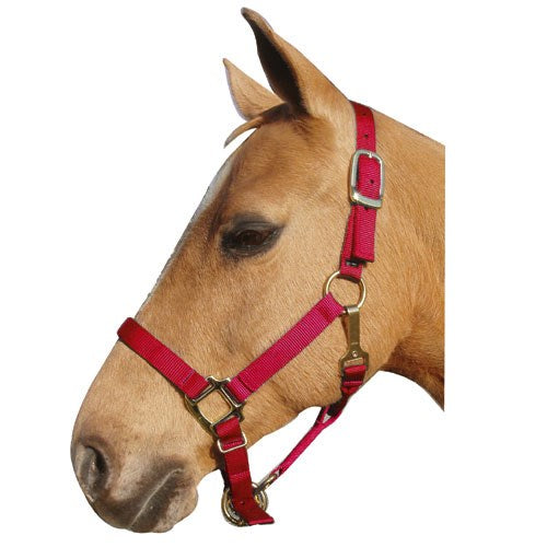 1" Nylon Adjustable Horse Halter