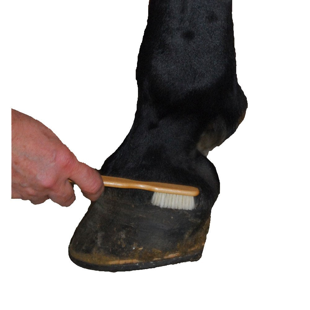 Blister Brush
