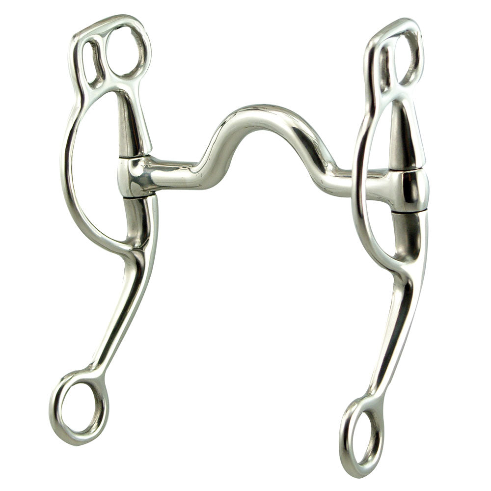 Training Stainless Steel Medium Port Curb Bit