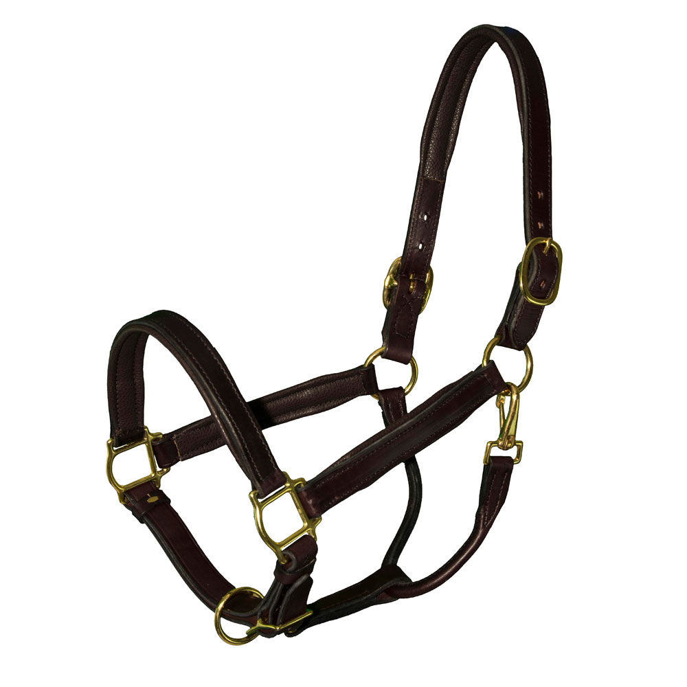 Pro-Trainer Padded Leather Halter - Brown