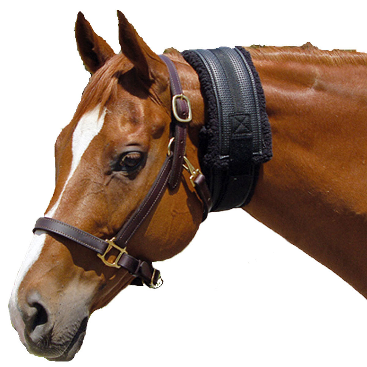 Deluxe Fleece Neck Sweat - Black