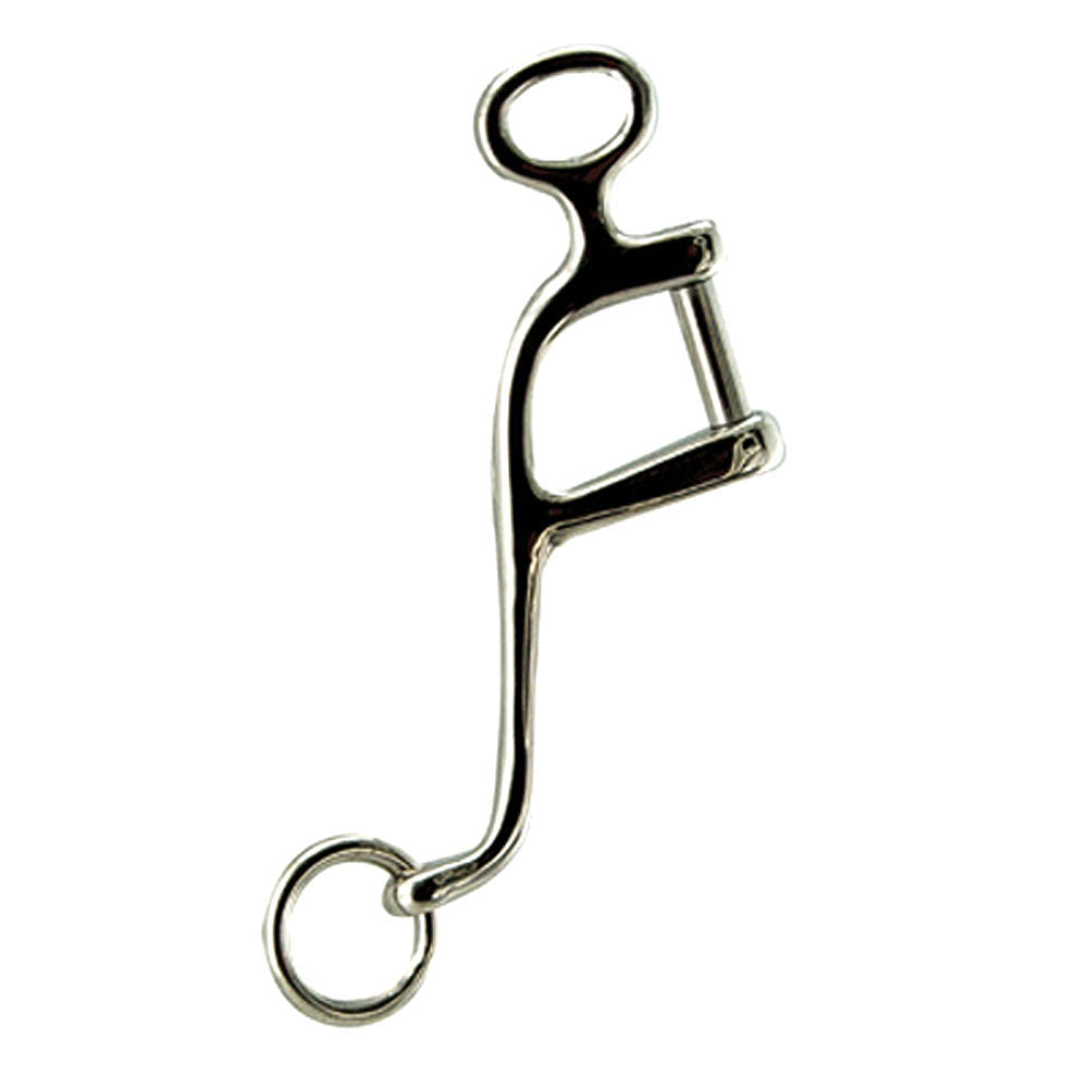 Interchangeable Stainless Steel Cheeks Bit