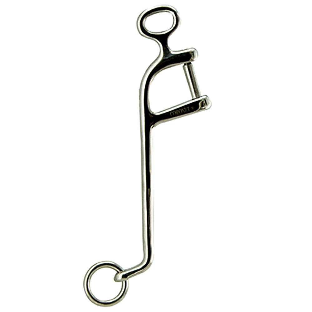 Interchangeable Stainless Steel Cheeks Bit