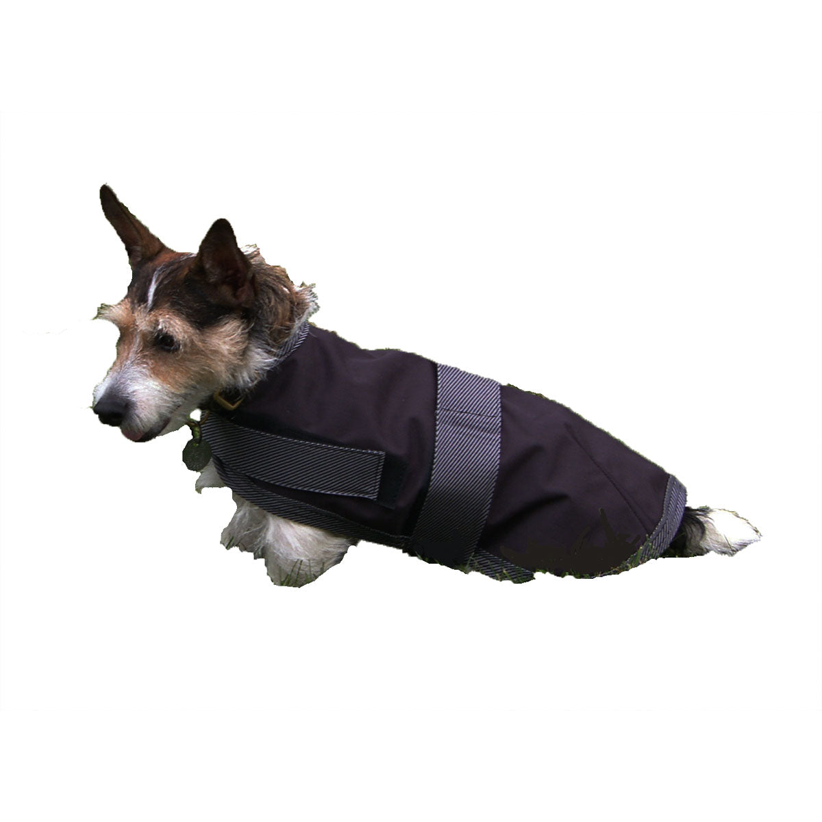 High Spirit Waterproof Insulated Dog Coat