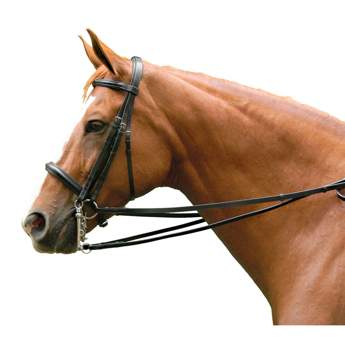 Exselle Elite Plain Raised Double Dressage Bridle - Black
