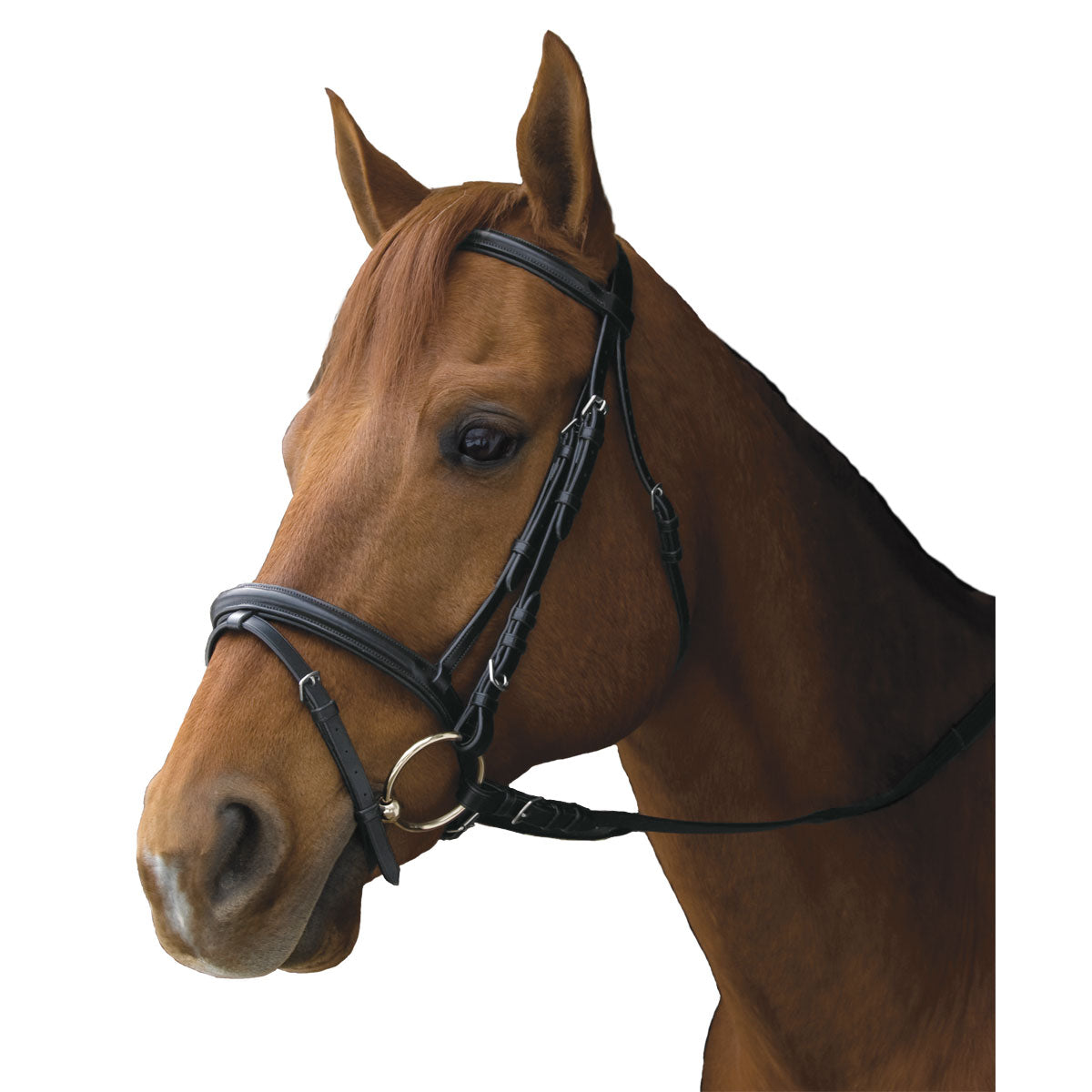 Exselle Elite Plain Raised Dressage/Event Bridle with Flash - Black