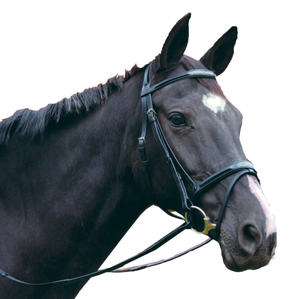 Exselle Plain & Fancy Bridle with Flash