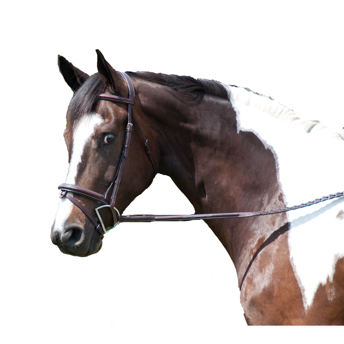 Exselle Fancy Stitched High Raised Padded Bridle