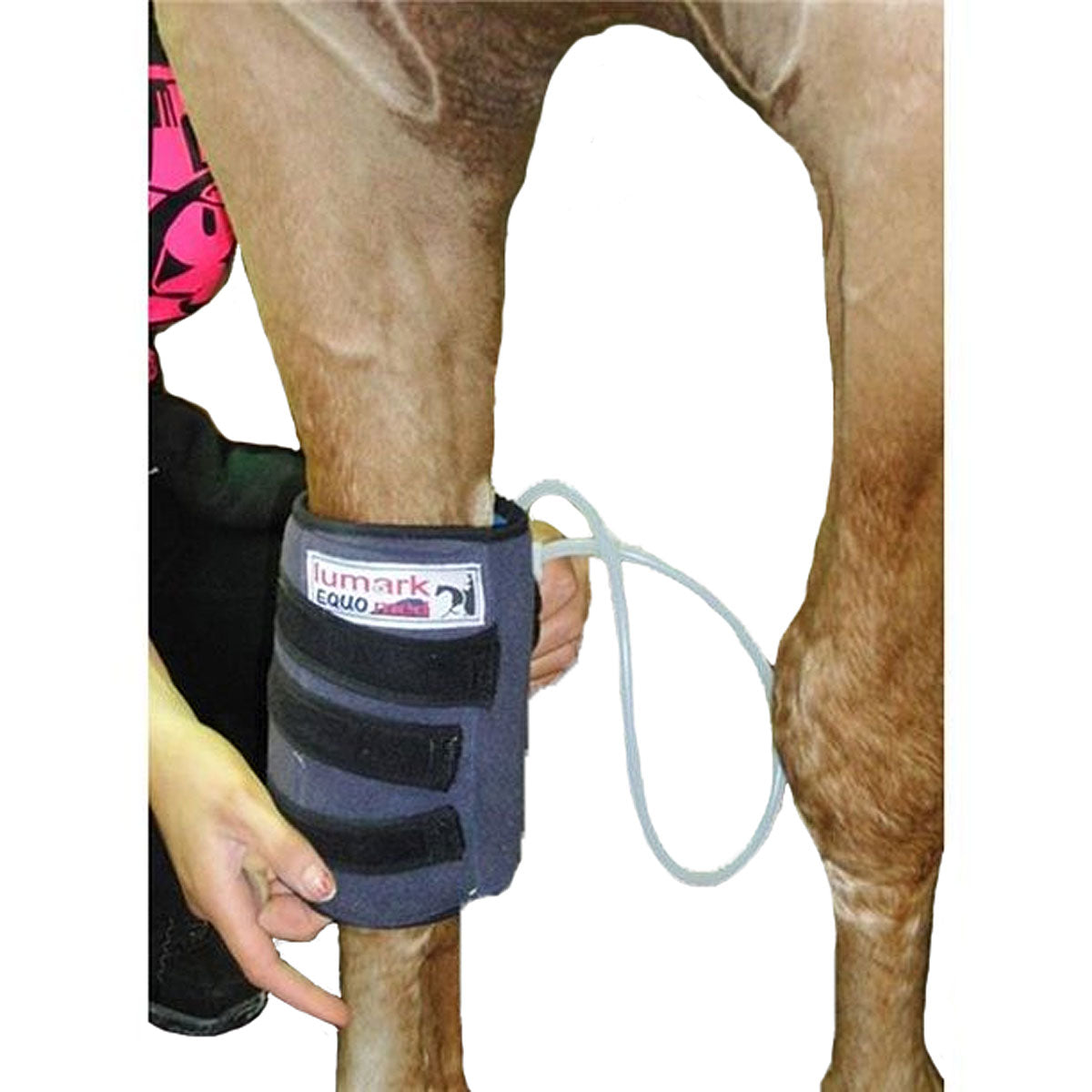 Equomed Lumark Knee/Fetlock Compression Boot - Sold in Pairs