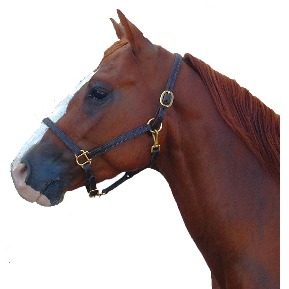 3/4" Latigo Lined Halter