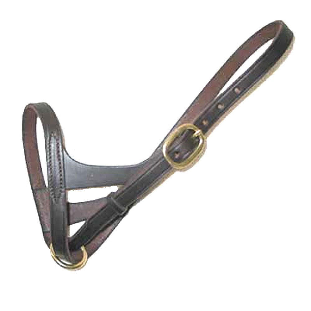 Leather Foal Slip Halter