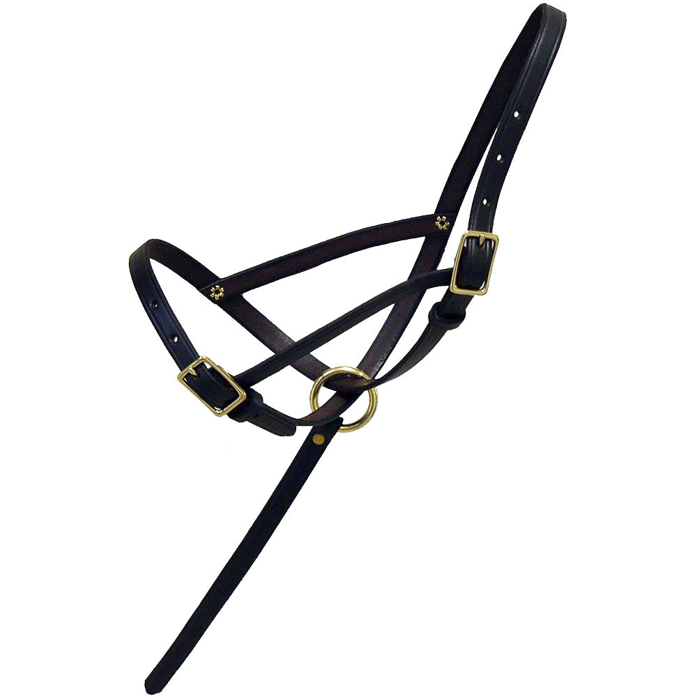 Leather Foal Slip Halter with Grab Strap