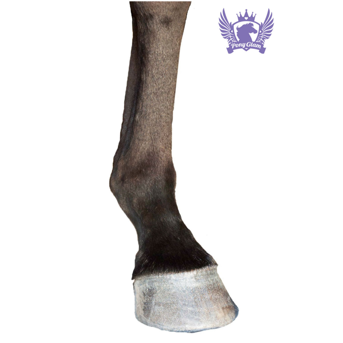 Pony Glam Hoof Hi-Lites 15 oz Can