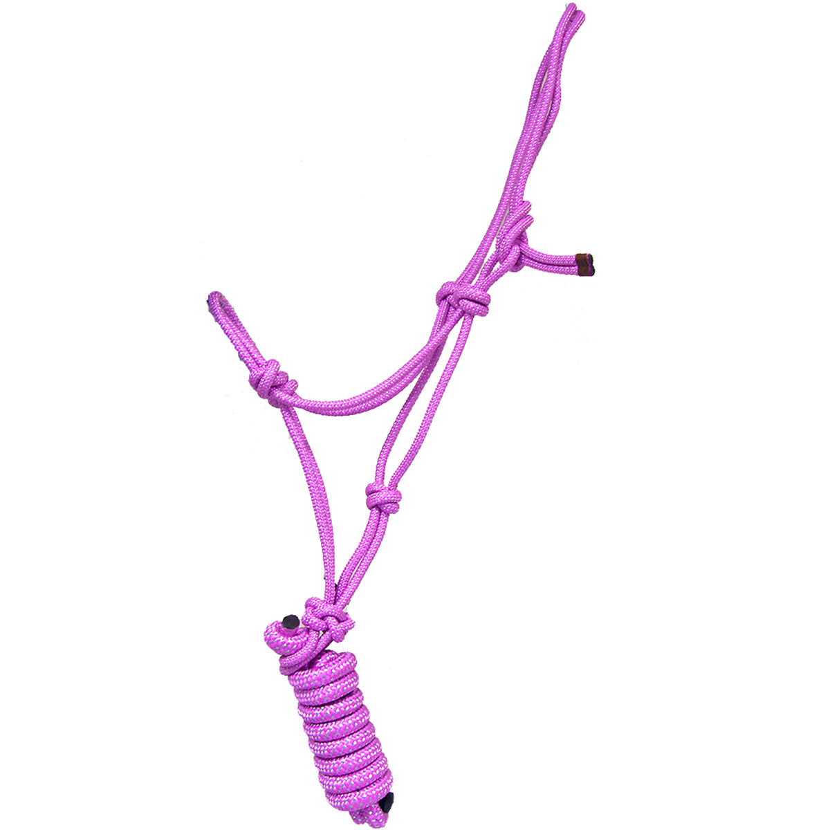 Rope Halter and Lead with Rope Nose
