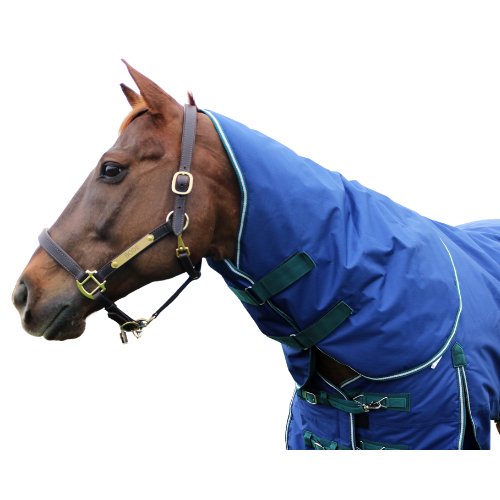 Pro-Trainer Turnout Blanket with Detachable Neck Cover, 1200D - Navy
