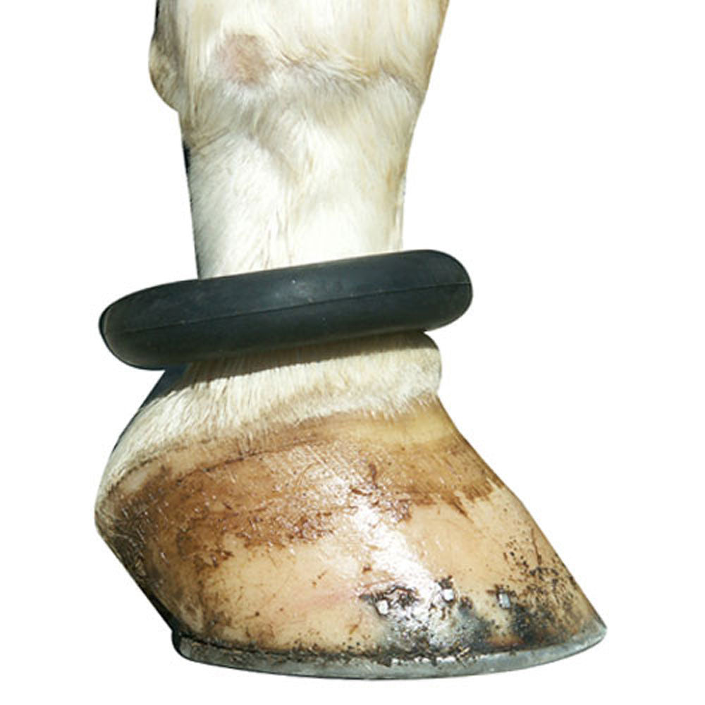 Fetlock Ring/Rubber