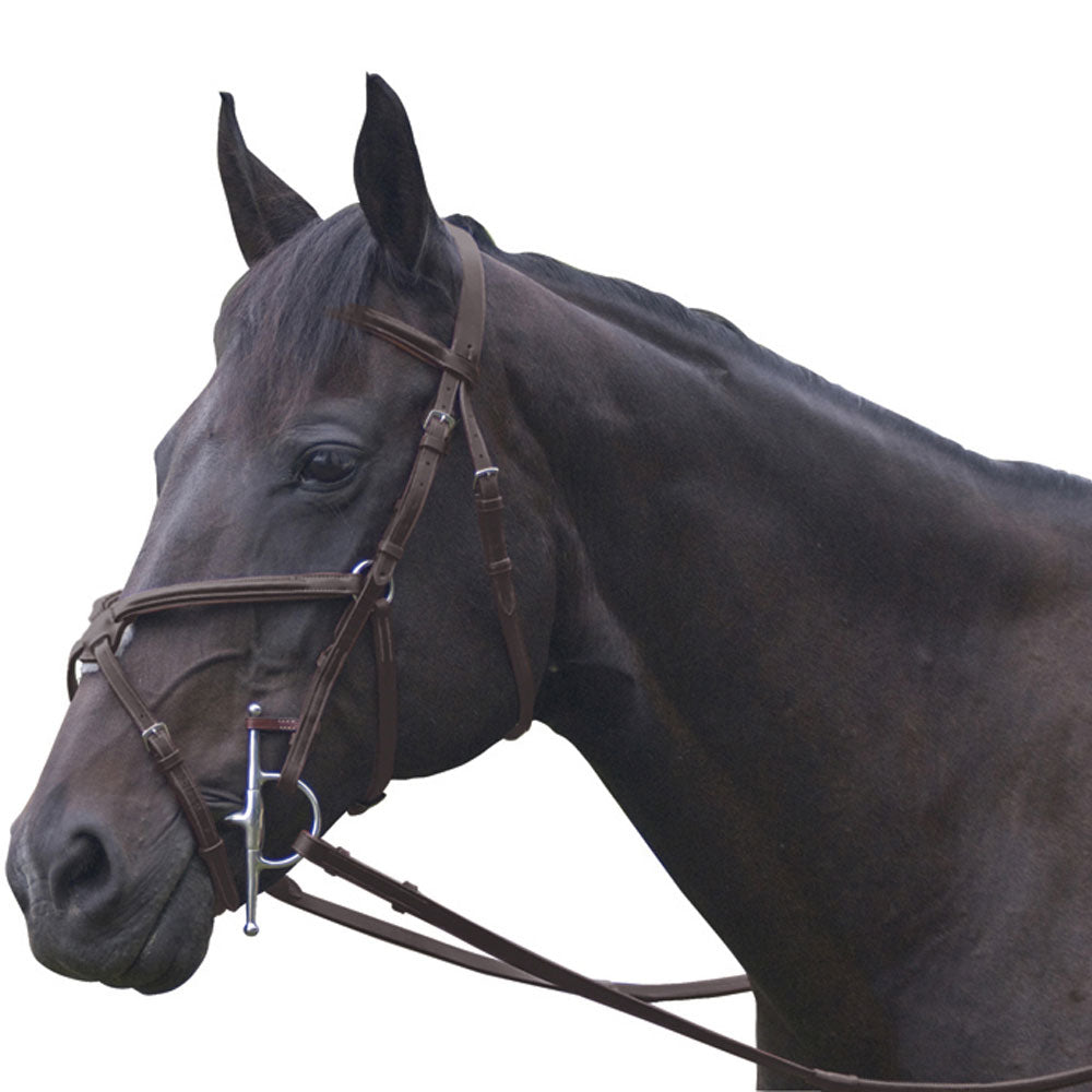 Exselle Elite Plain Raised Jumper Bridle with Figure 8 Nose