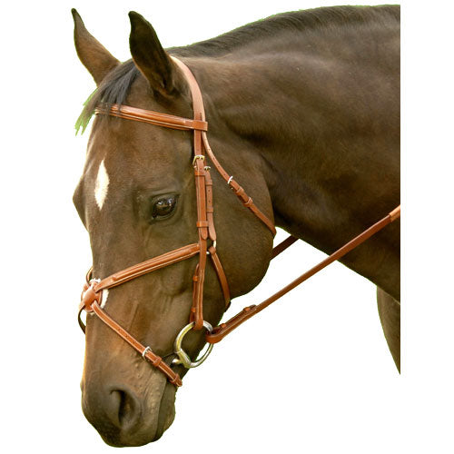 Exselle Elite Plain Raised Jumper Bridle with Figure 8 Nose