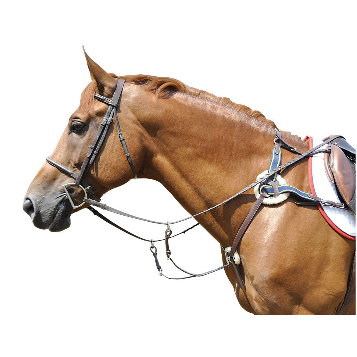 nero - Fourchette en cuir avec fourchette martingale élastique