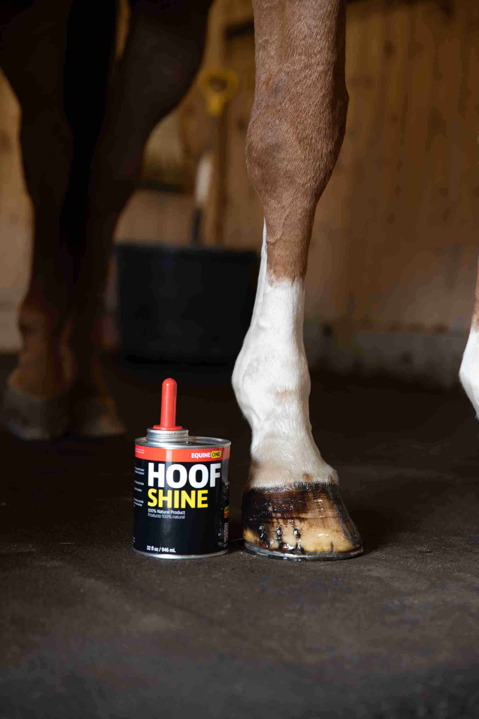Equine One Hoof Shine