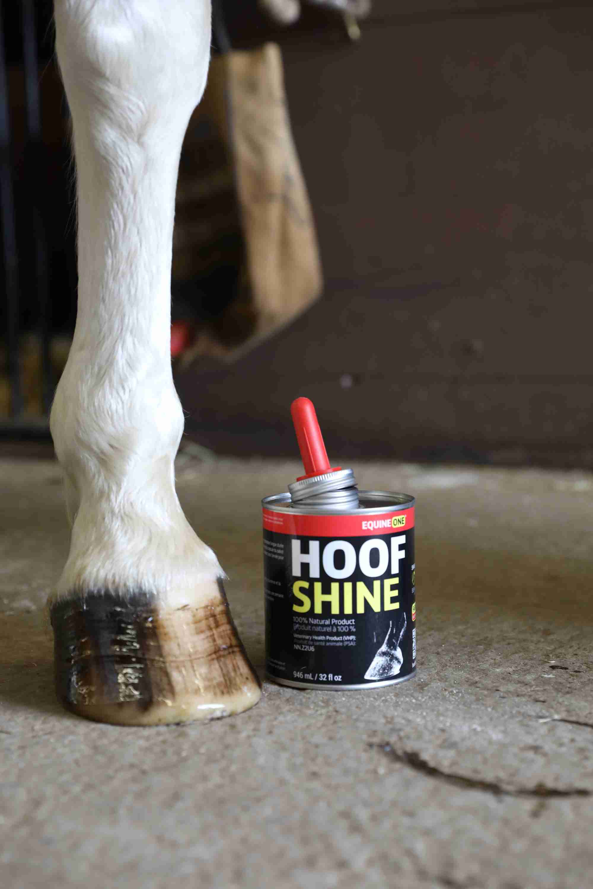 Equine One Hoof Shine