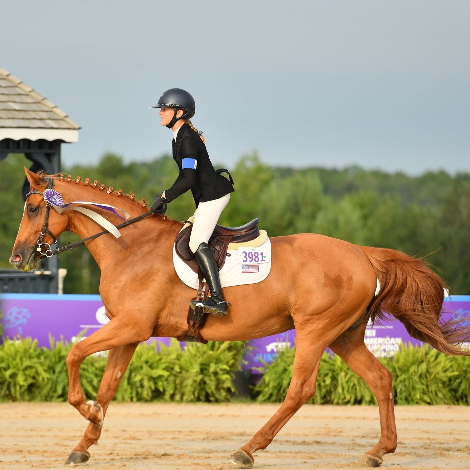 Millbrook Freedom Bridle