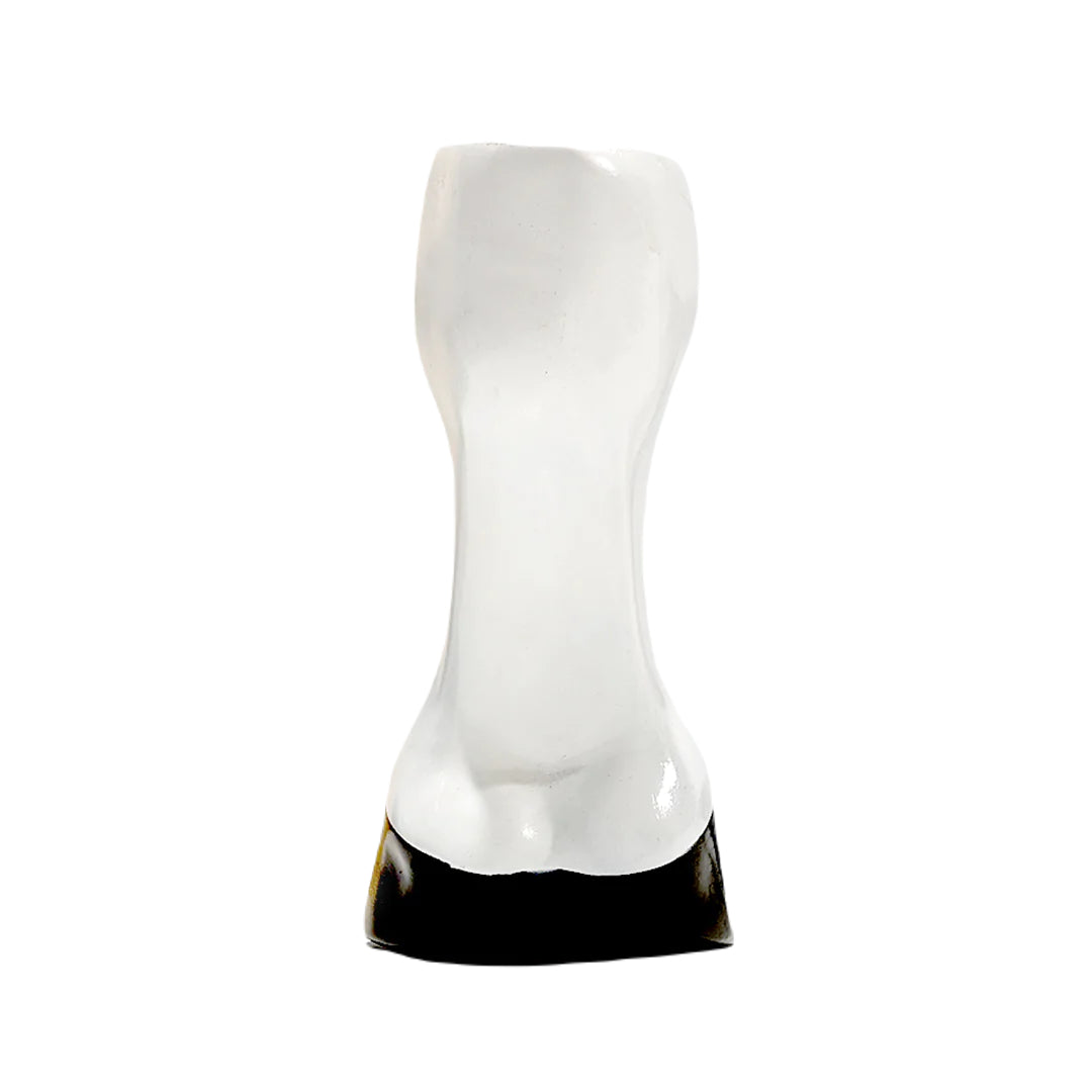 Scoot Boot Horse Leg & Hoof Model