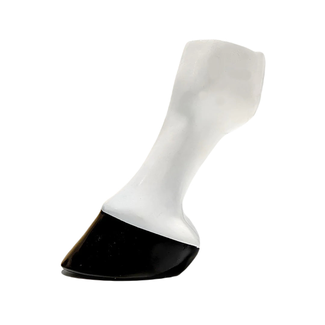 Scoot Boot Horse Leg & Hoof Model