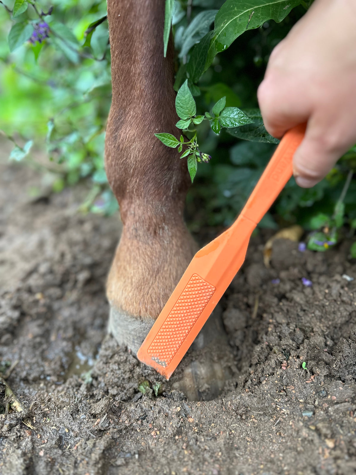 Ranchers Preferred HoofWand - Orange