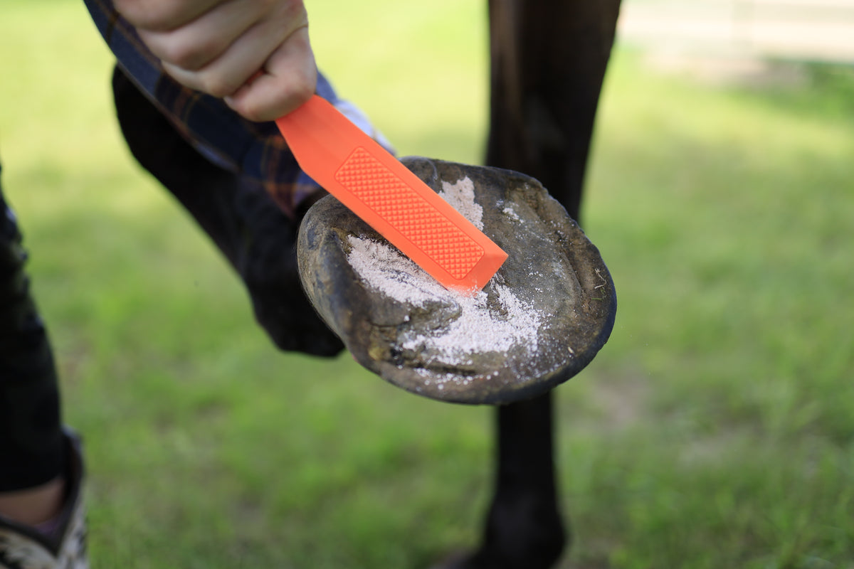 Ranchers Preferred HoofWand - Orange