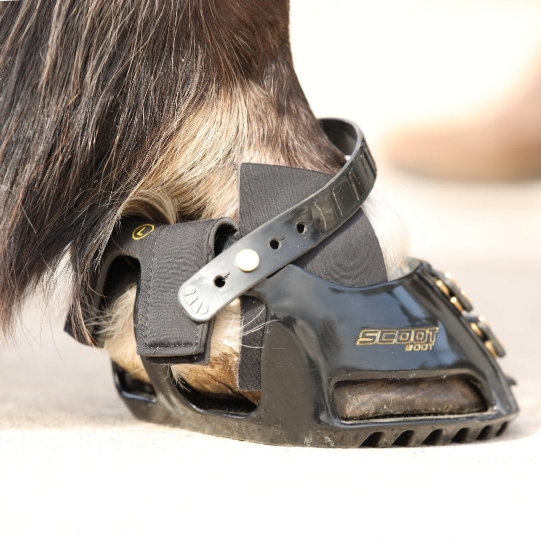 Scoot Boot Hybrid Gaiters - Black