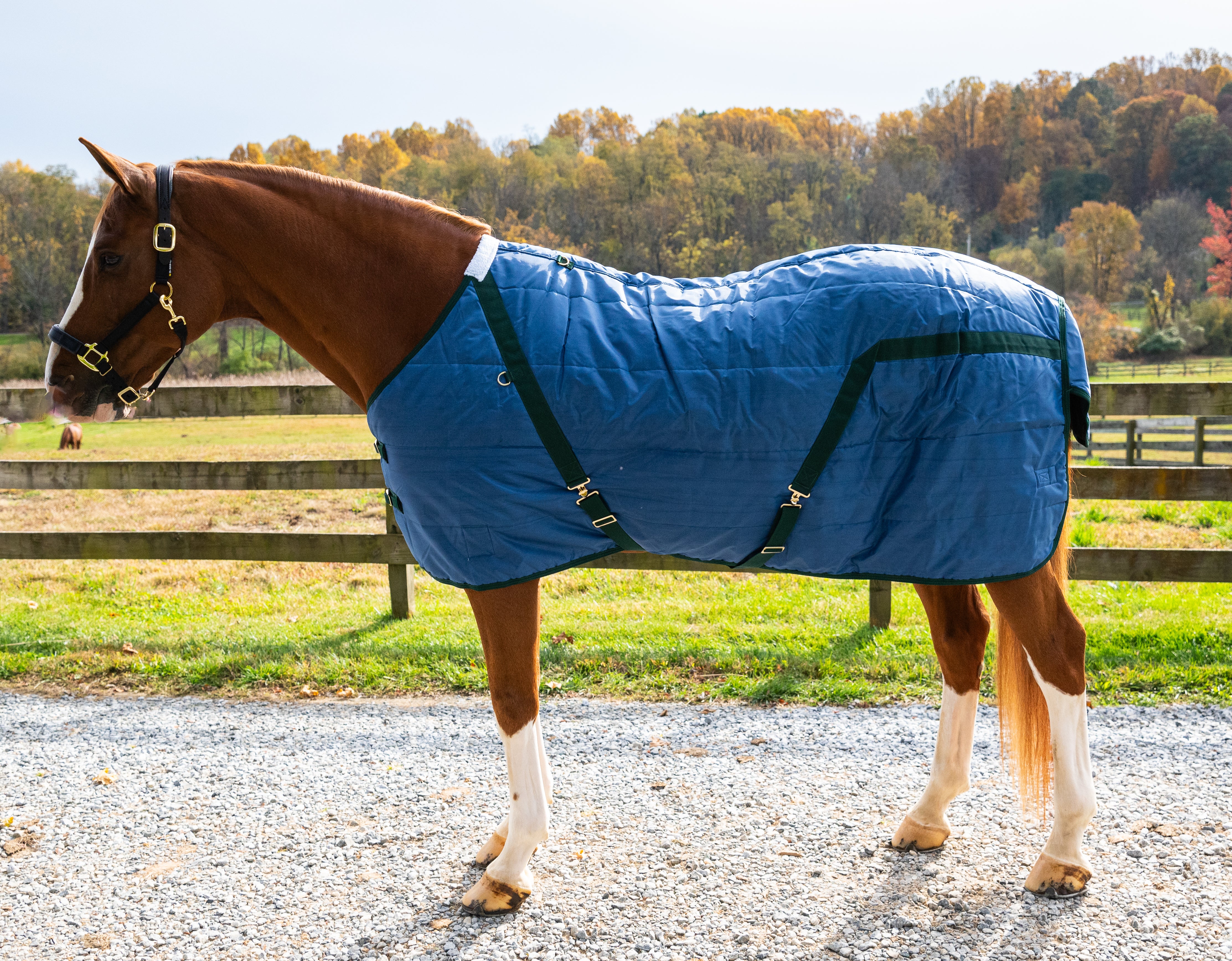 Snuggie Heavy Weight Stable Blanket - 350G, 420D FOB