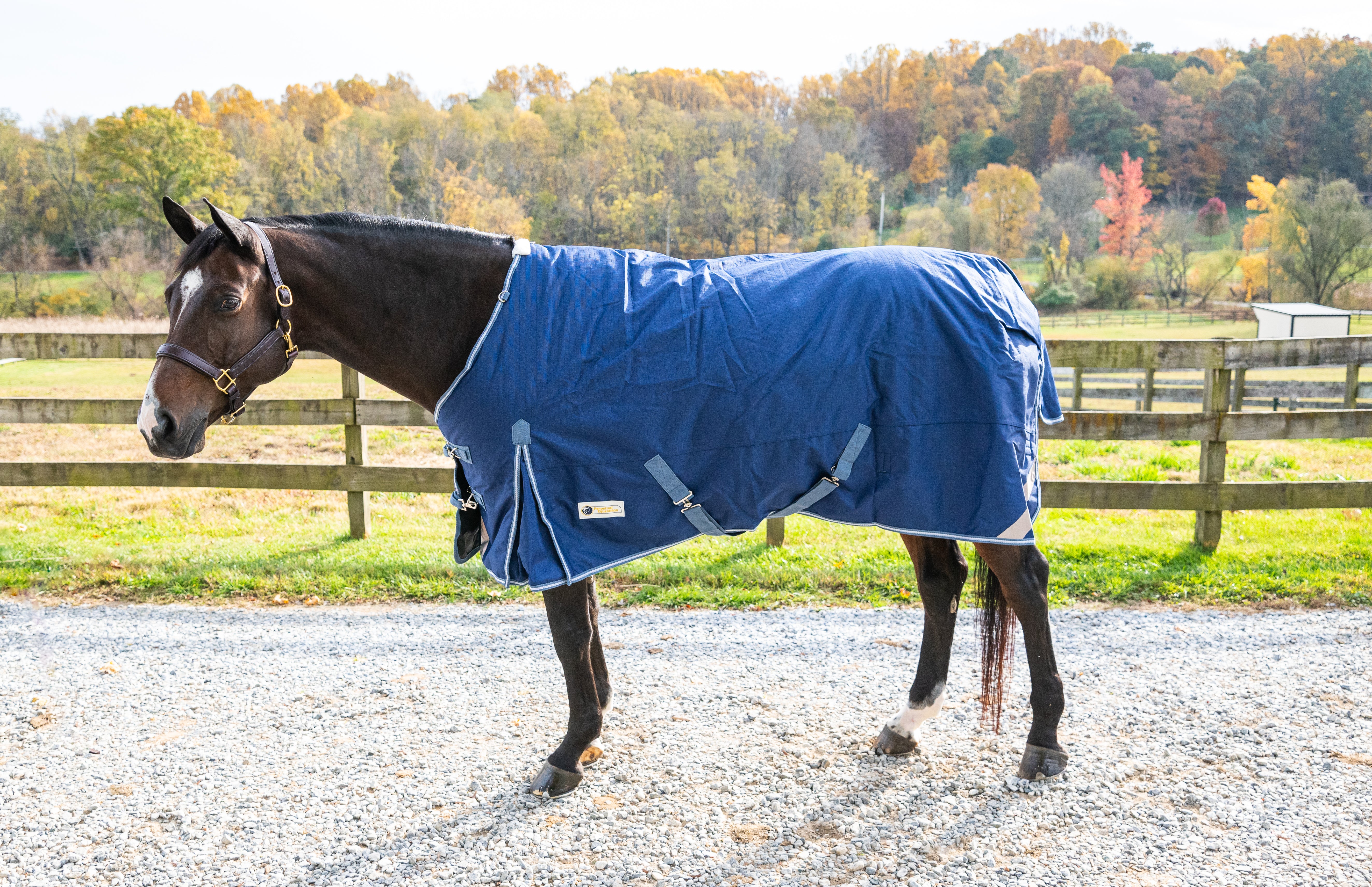 Pro-Trainer Turnout Blanket with Detachable Neck Cover, 1200D - Navy