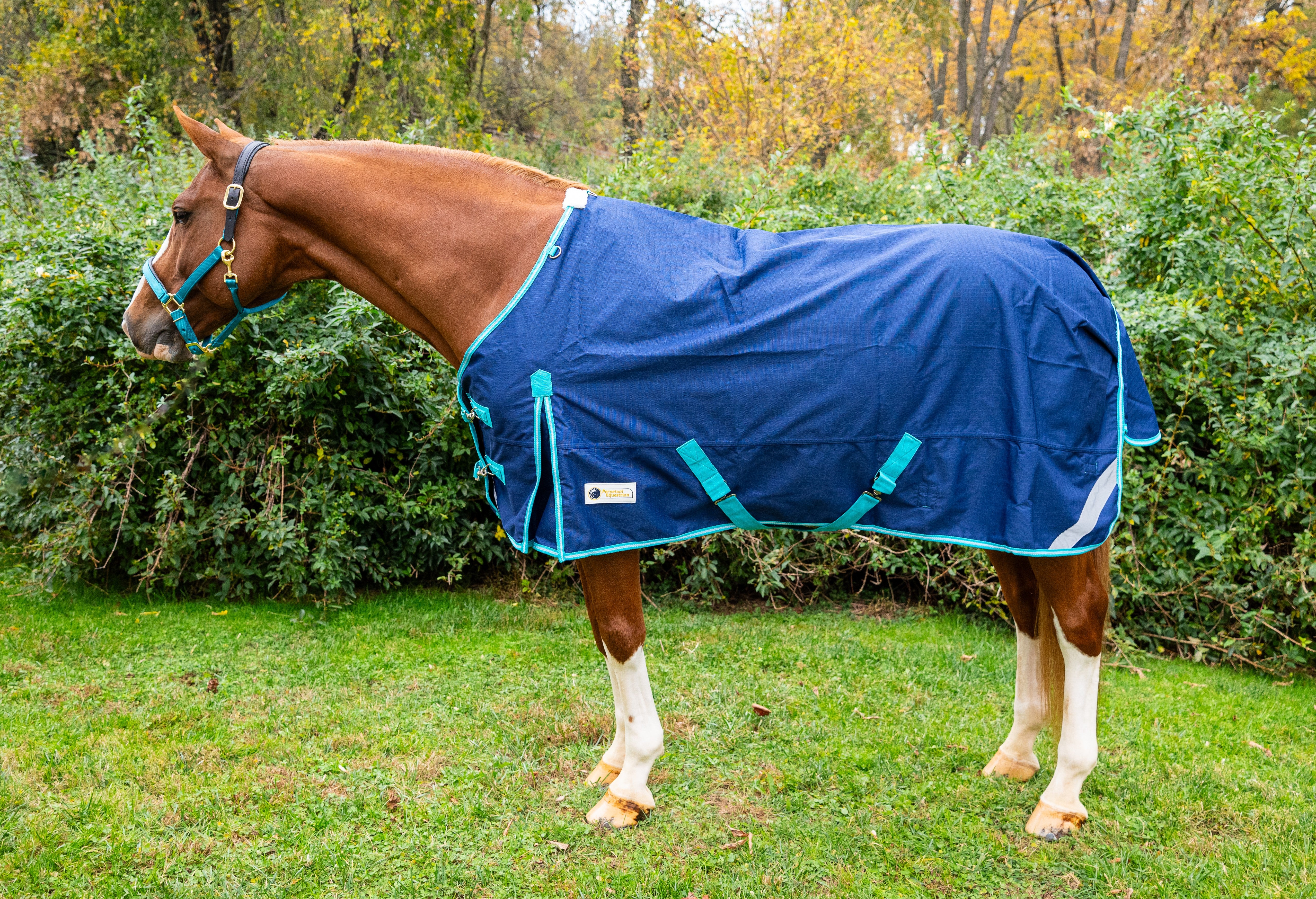 Pro-Trainer Turnout Blanket with Detachable Neck Cover, 1200D - Navy