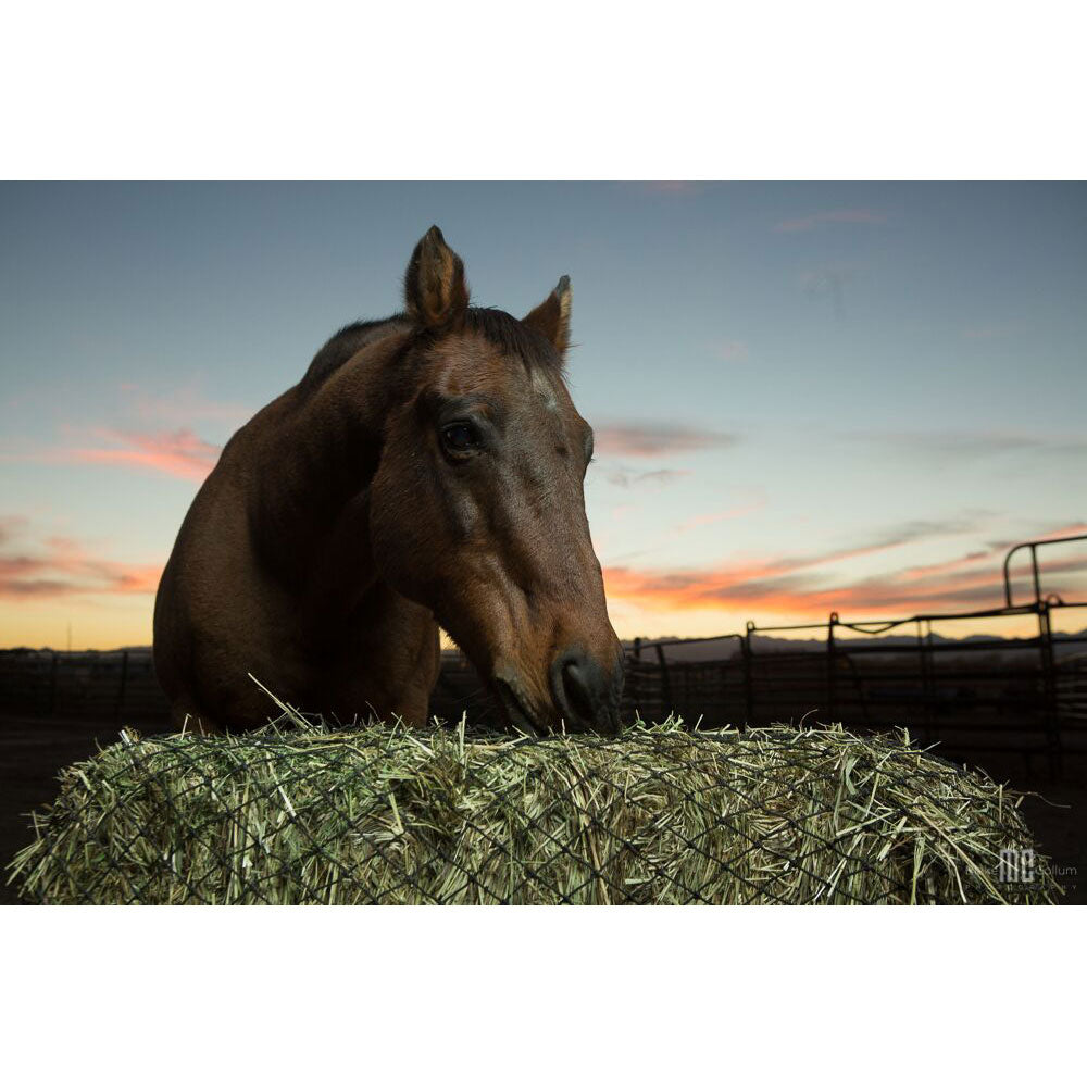 Texas Haynet 3 String Square Bale Hay Net