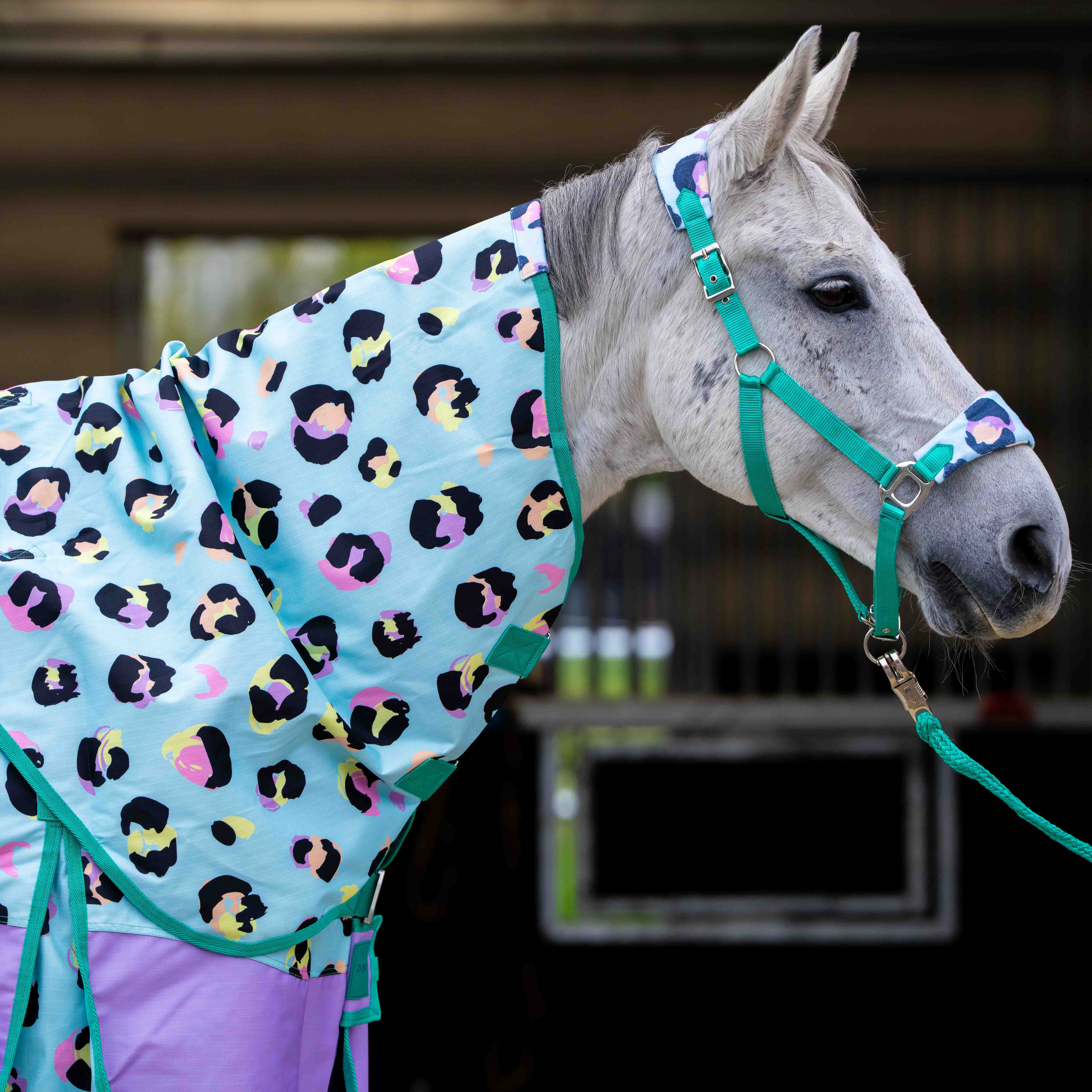 Ponyo Horsewear Wild One Turnout Rug