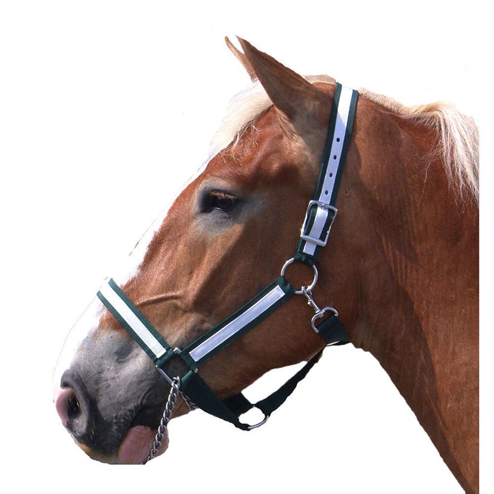 Poly Draft Horse Halter with Overlay