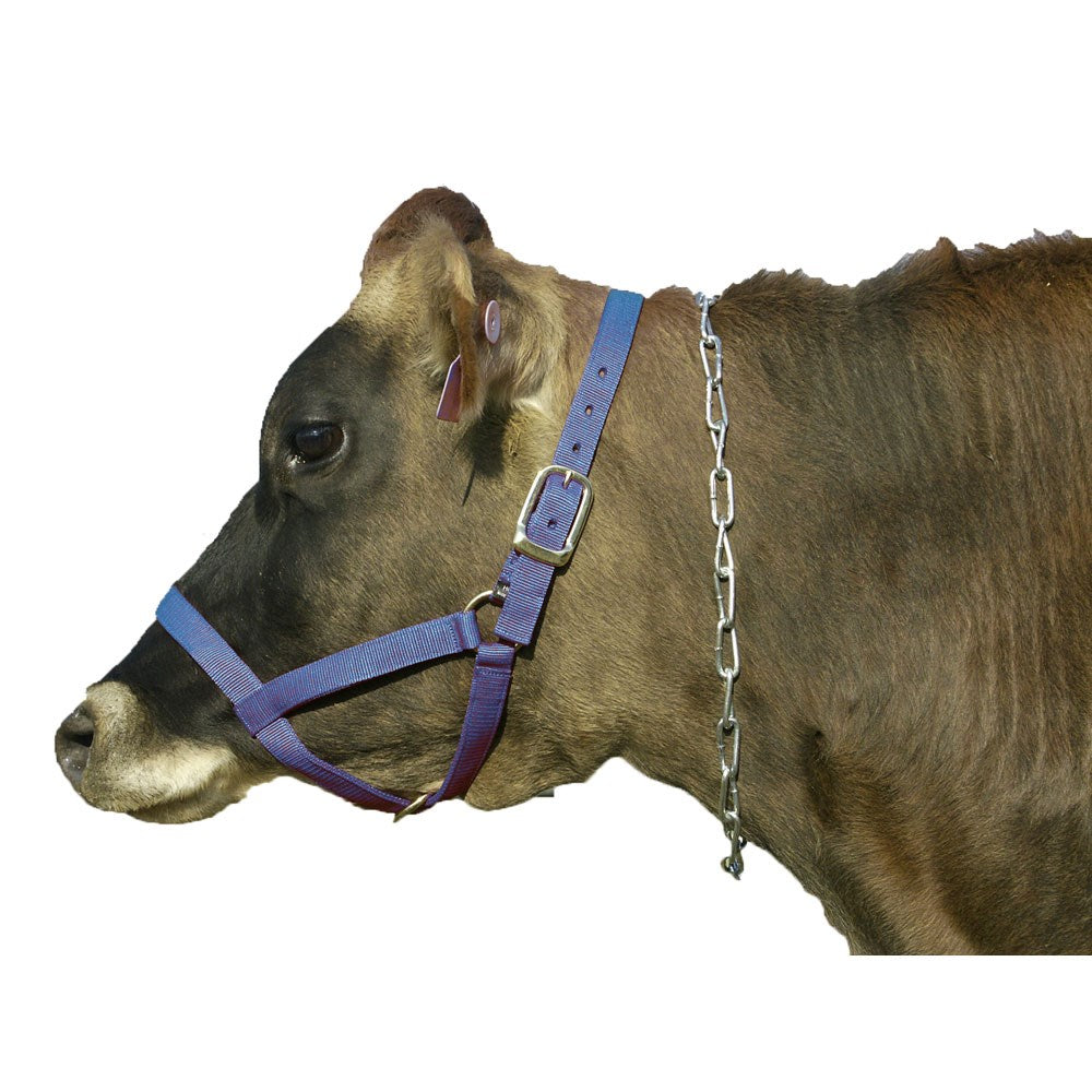 Cattle Halter