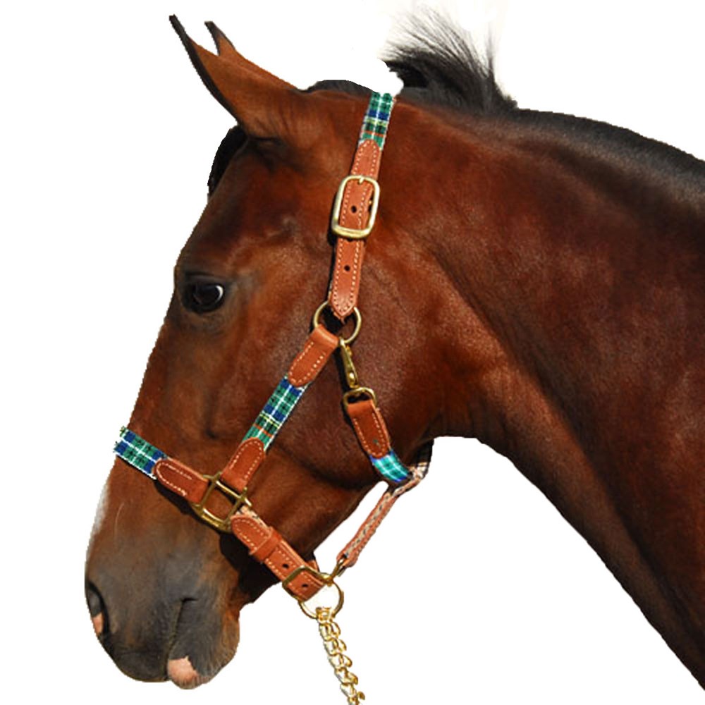 1" Highland Plaid Nylon Halter with Leather Accents