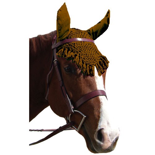 Fancy Fly Veil with Fringes