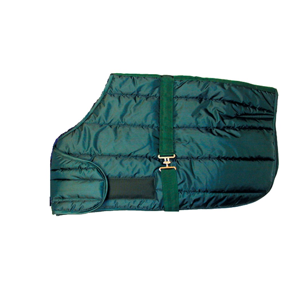 Quilted Adjustable Foal Blanket