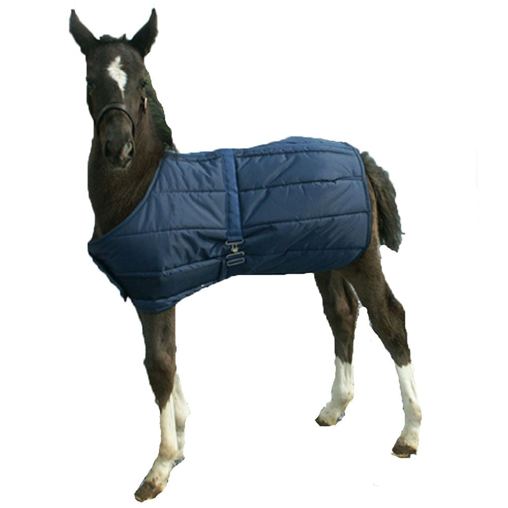 Quilted Adjustable Foal Blanket