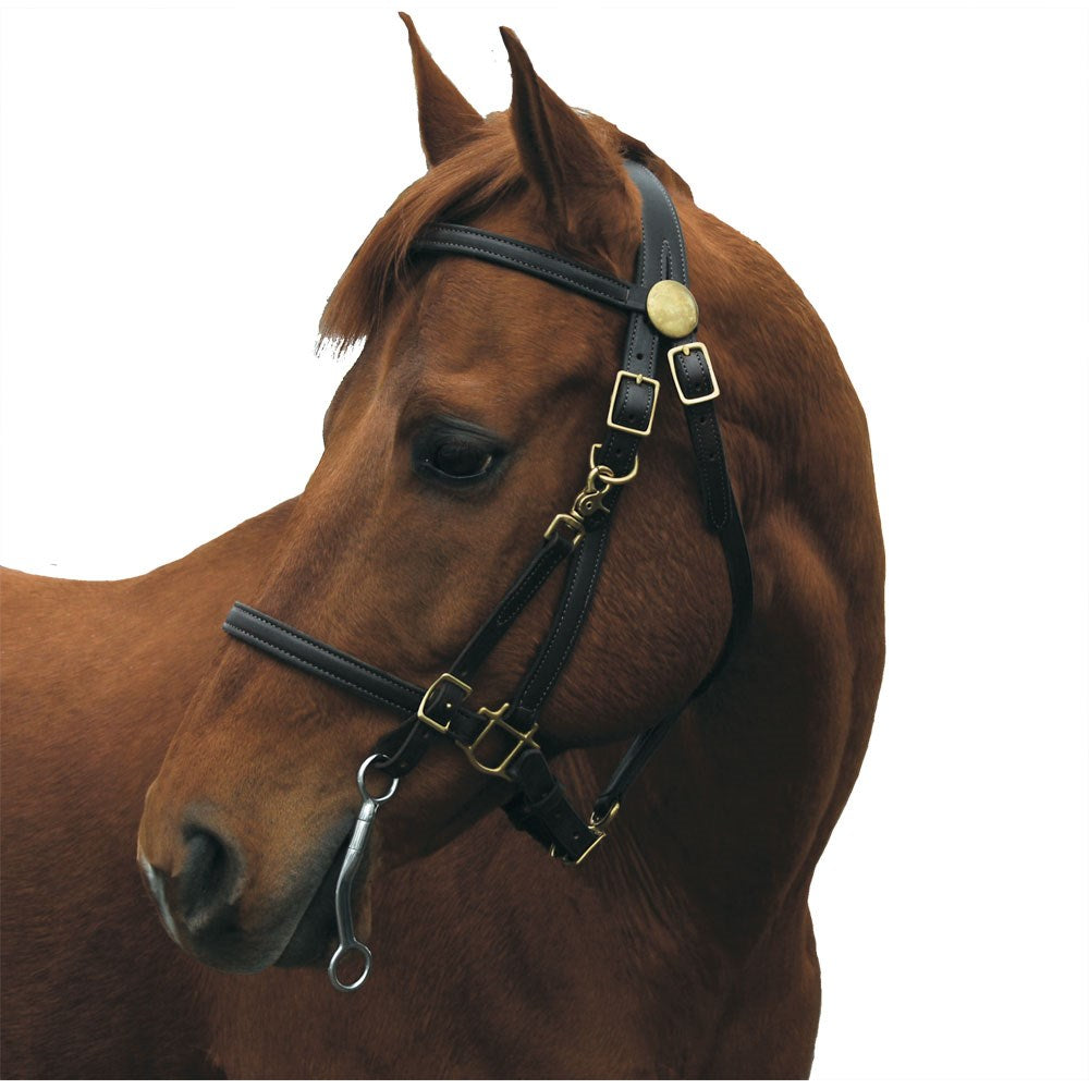 Shenandoah Trail Bridle Halter Combo with Solid Brass Hardware