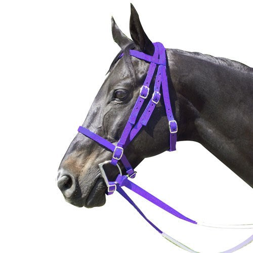 Nylon Race Horse Bridle with Rubber Reins and Curb Strap