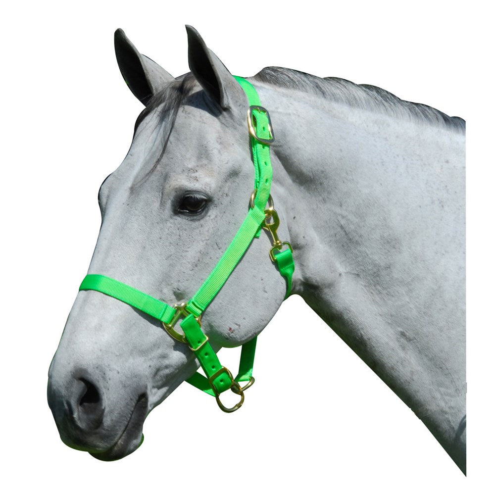 1" Nylon Adjustable Horse Halter