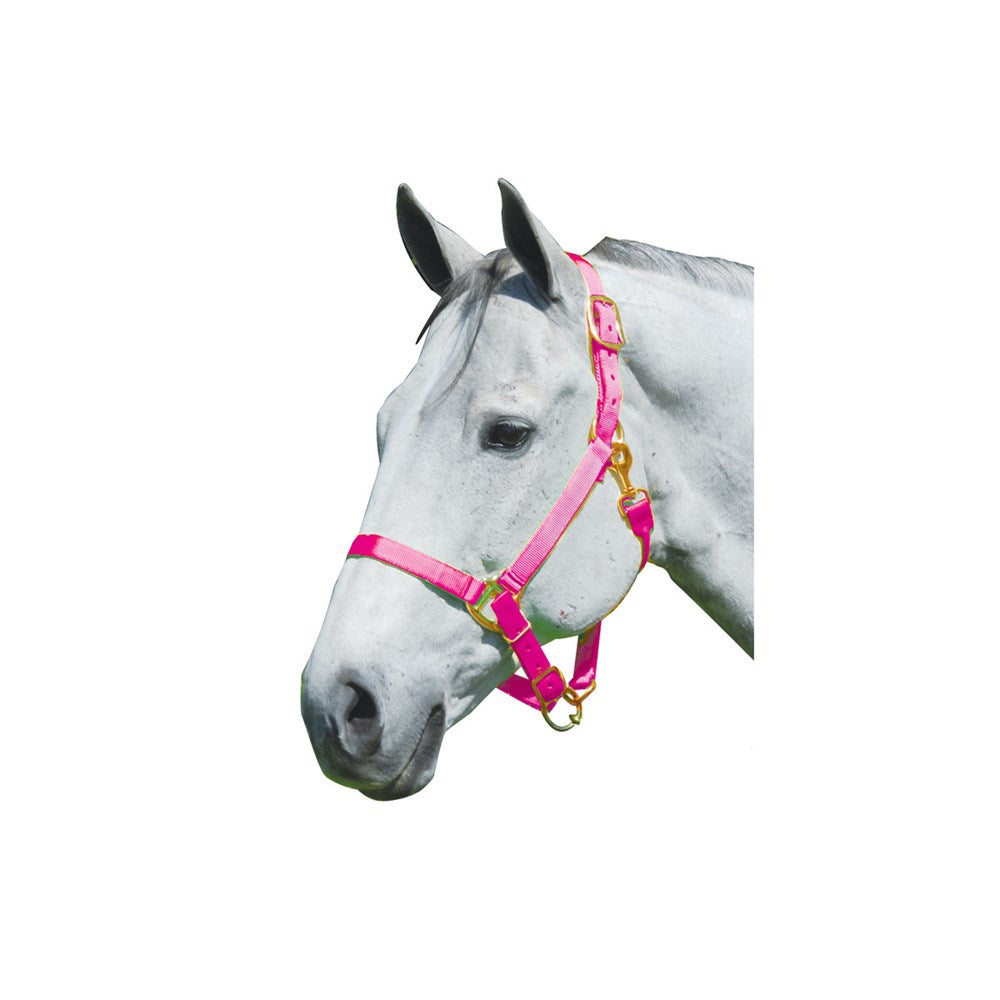 1" Nylon Adjustable Horse Halter